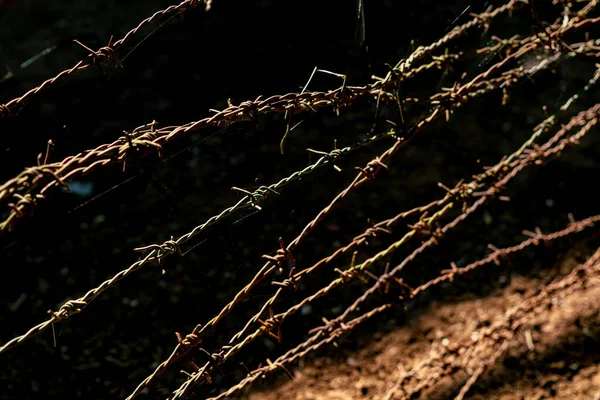 Rusty barb wire at old fence. Old barb wire fence against the dark ground.