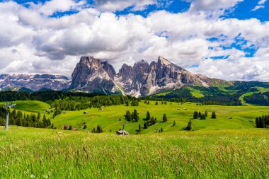 İtalyan Dolomite Dağı 'ndaki Langkofel grubu ve Güney Tyrol İtalya' daki Alp Yeşil Platosu Seiser Alm.