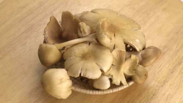 Rotation Fresh Mushroom Bamboo Basket Wooden Board Natural Mushroom Termite — Stock video