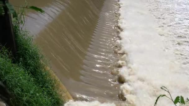 Beautiful View Muddy Water River Flowing Rapidly Small Dam Scattering — Video