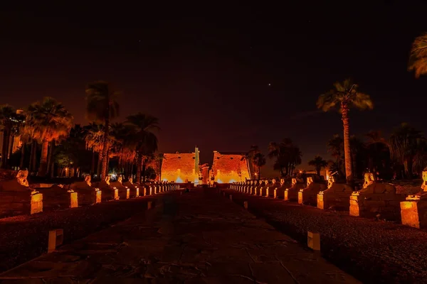 Night Scene Luxor Temple Complex Row Sphinx Obelisk Luxor Egypt Imagem De Stock