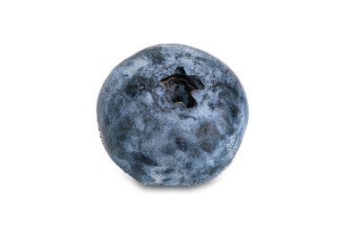 High angle view single ripe delicious blueberry isolated on white background with clipping path.