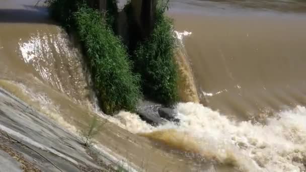 Быстрая Грязная Вода Текущая Реке Проходящей Мимо Небольшой Плотины Падающей — стоковое видео