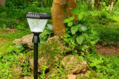Önde giden güneş ışığının görüntüsü gündüz vakti bir ağaçta ve yeşil bir bahçede taş yığınında yanar..