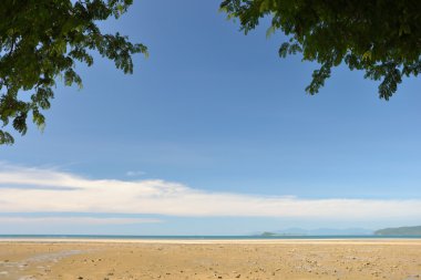 Deniz scape