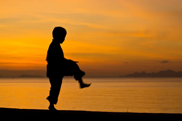 The boy — Stock Photo, Image