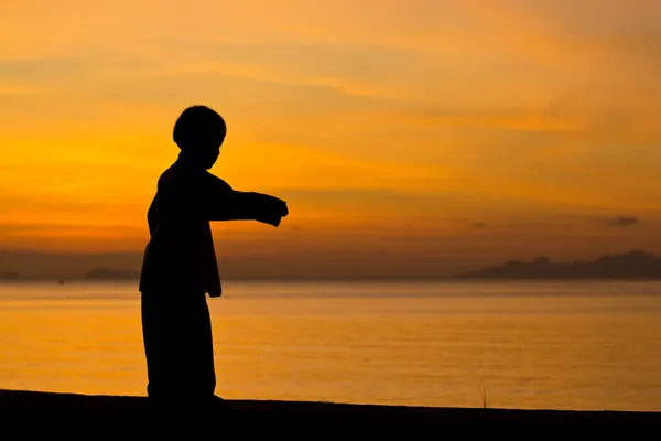 The boy — Stock Photo, Image