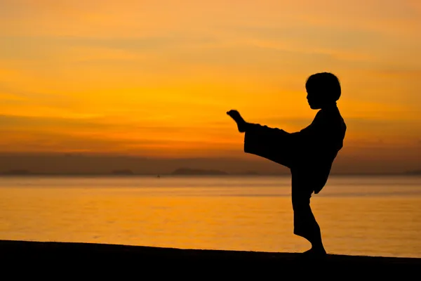 Il ragazzo. — Foto Stock