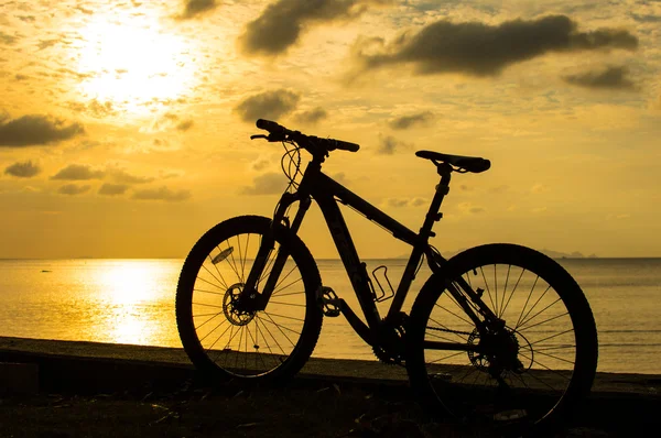 Bicicleta de montanha única — Fotografia de Stock