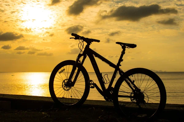 Tek dağ bisikleti — Stok fotoğraf