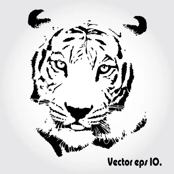 Tiger ritning — Stockfoto