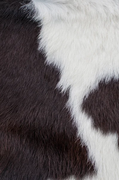 Cow skin — Stock Photo, Image