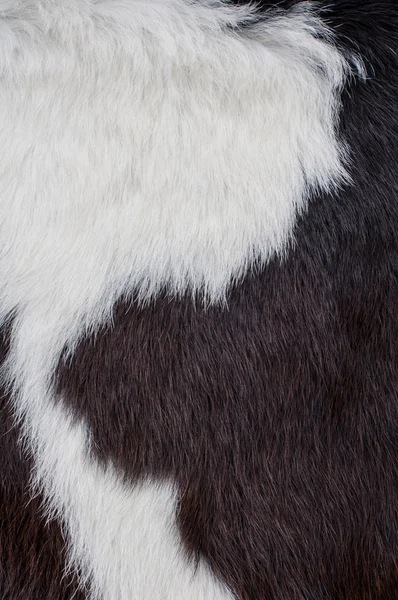 Pelle di mucca — Foto Stock