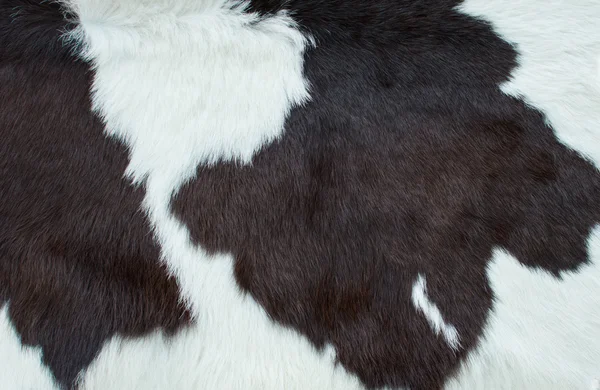 Cow skin — Stock Photo, Image