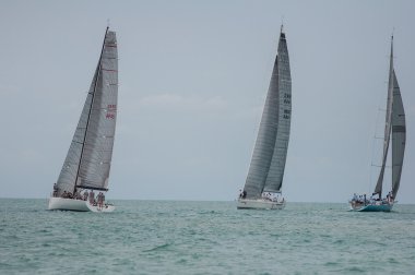 Regatta