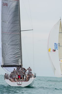 Regatta