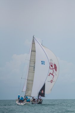 Regatta