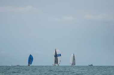 Regatta