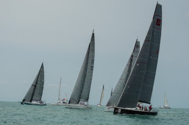 Regatta