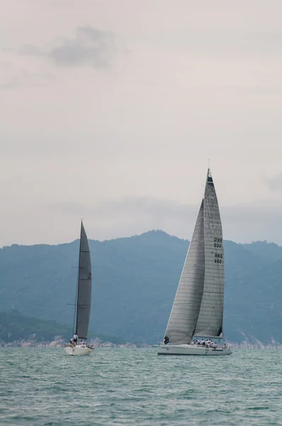 Regatta — Stok fotoğraf