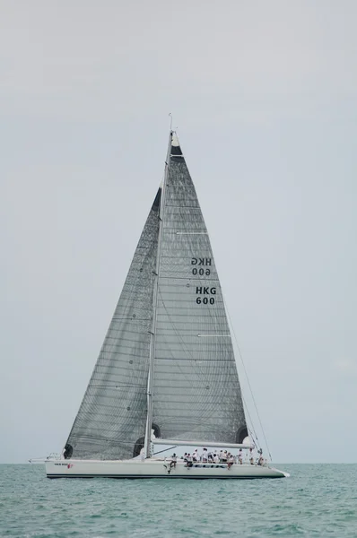 Regatta — Stok fotoğraf