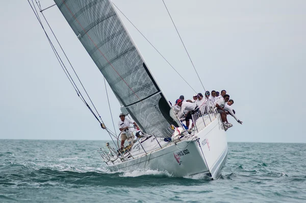 Regatta — Stok fotoğraf