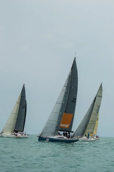 Regattan — Stockfoto