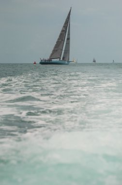 Regatta