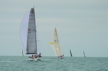 Regatta