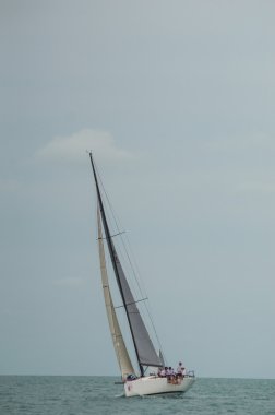 Regatta