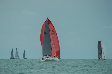 Regatta