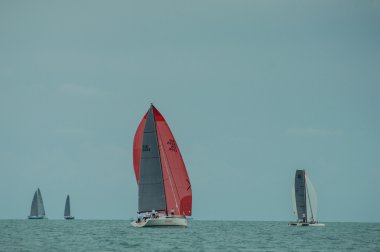 Regatta