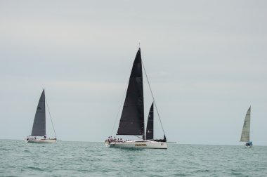 Regatta