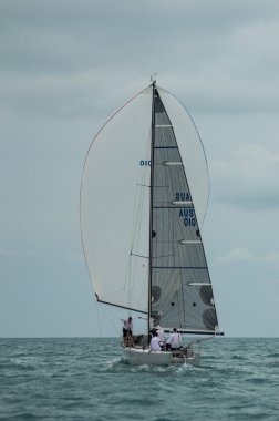 Regatta