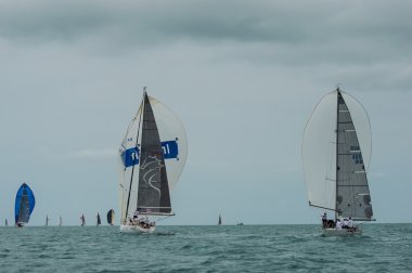 Regatta