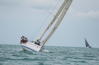 Regatta