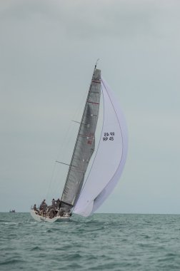 Regatta