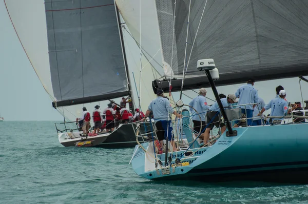 Regatta — Stok fotoğraf