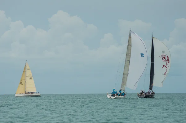 Regatta — Stok fotoğraf