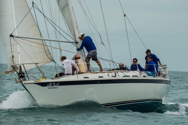 Regatta — Stok fotoğraf