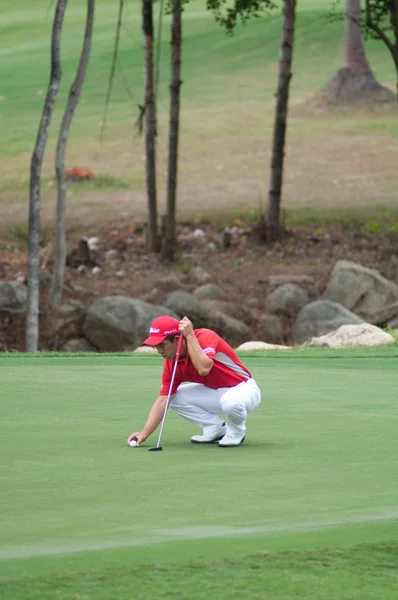 Queen's cup 2013 — Stockfoto