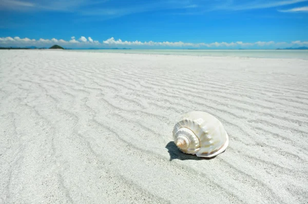 Paisaje marino — Foto de Stock