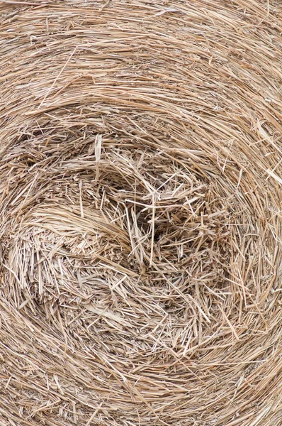 Hay. — Stock Photo, Image