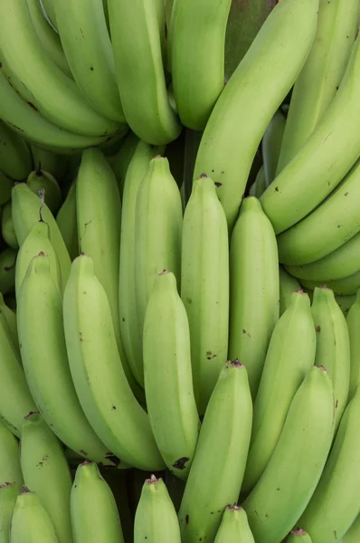 Banana — Fotografia de Stock