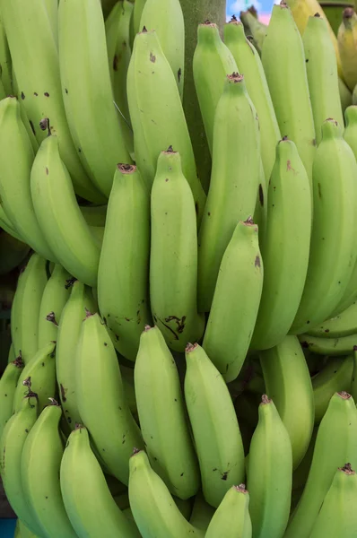 Banana — Fotografia de Stock