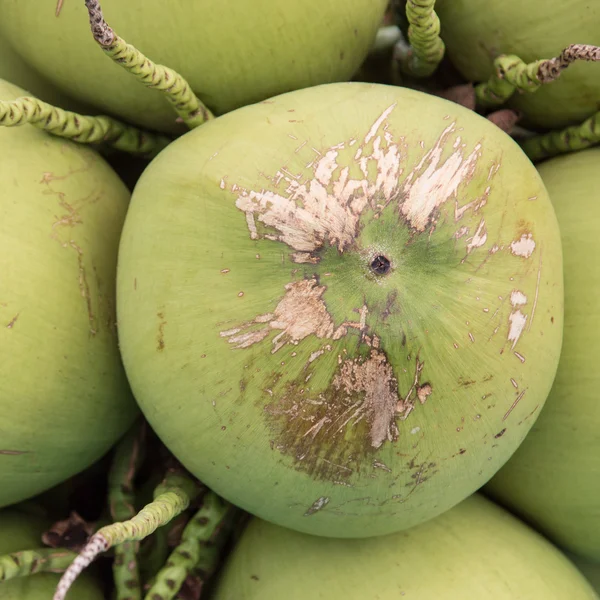 Nucă de cocos — Fotografie, imagine de stoc