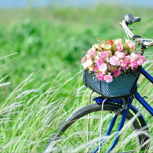 Flower bike — Stock Photo, Image