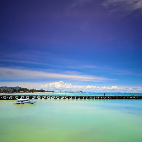 Passera di mare — Foto Stock