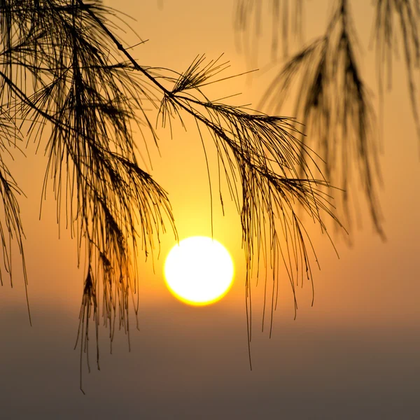 Beach at dusk — Stock Photo, Image