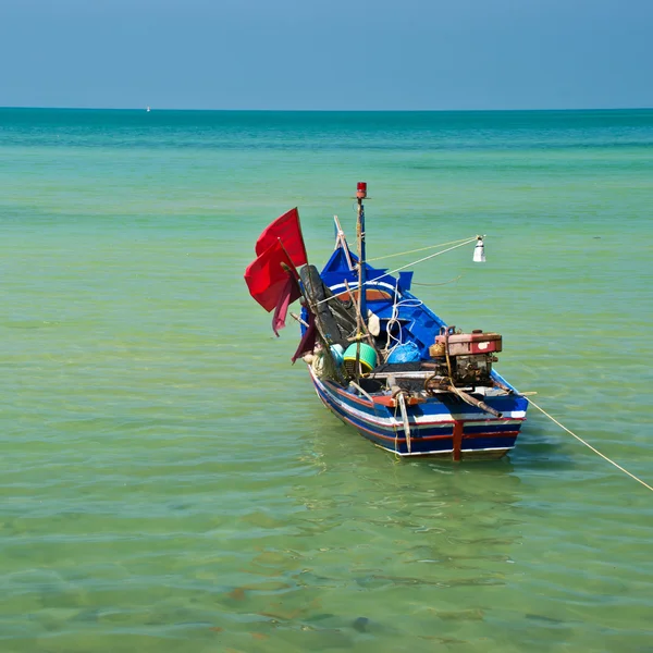 Passera di mare — Foto Stock